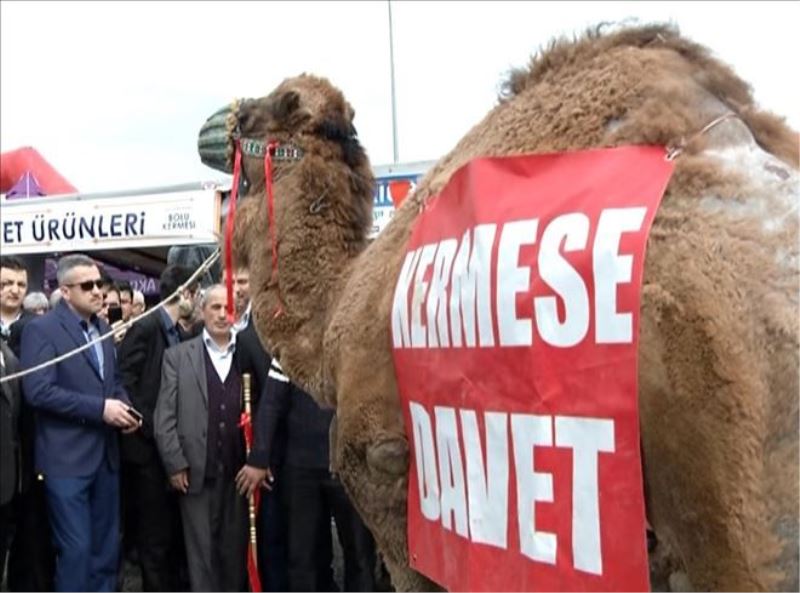 Açık artırmaya çıkan deve 57 bin 500 liraya satıldı