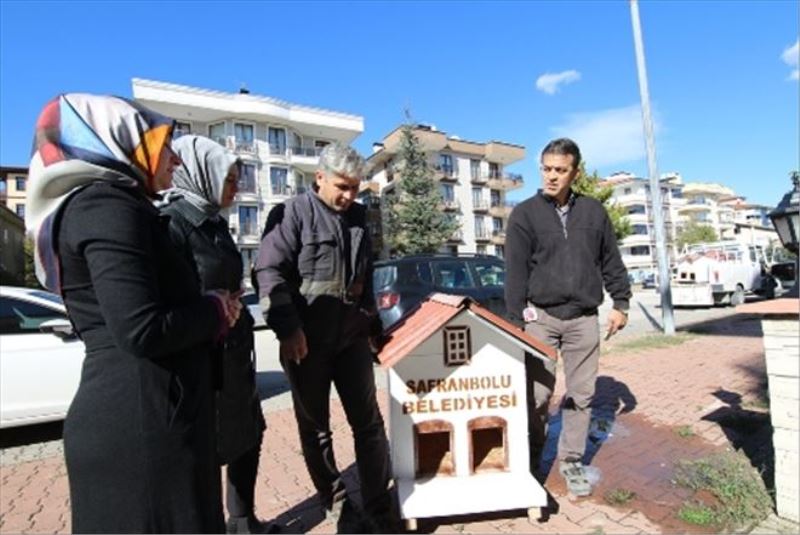 Safranbolu Belediyesi Sokak Hayvanlarına Sahip Çıkılıyor