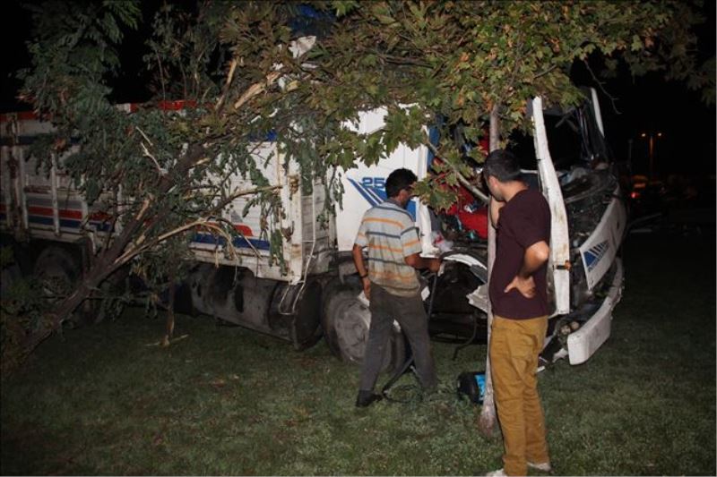 Kurbanlık hayvan yüklü kamyon kaza yaptı: 1 yaralı