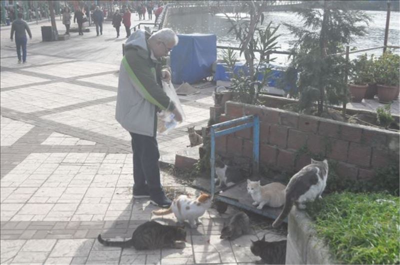 Emekli maaşıyla hem evine hem de sokak kedilerine bakıyor