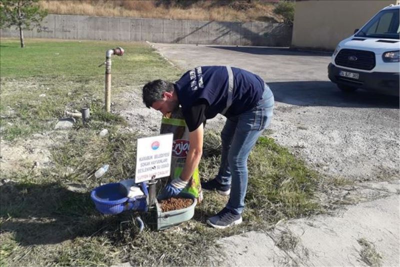 Karabük Belediyesi Sokak Hayvanlarını 4 Ekim Hayvanları Koruma Gününde de Unutmadı