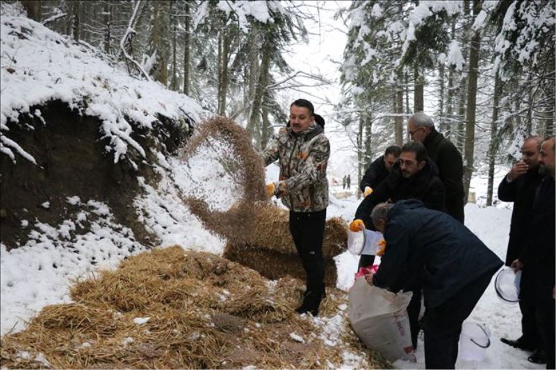 Tarım ve Orman Bakanı Pakdemirli yaban hayvanlarına yem bıraktı