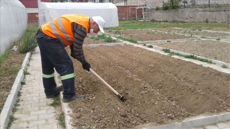 Safranbolu Belediyesi tarımsal çalışmaları sürdürüyor