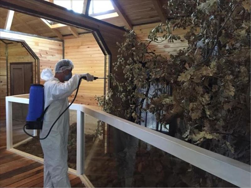 Bitki ve Hayvan müzesi dezenfekte edildi
