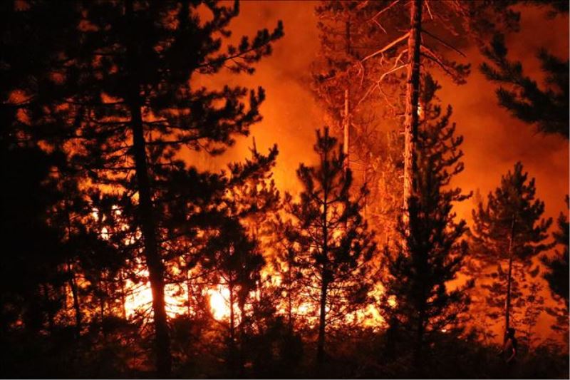 60 yangında 200 hektar kül oldu