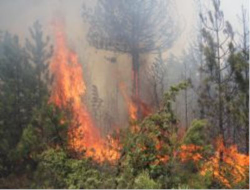 Yangın Köyleri Tehdit Ediyor